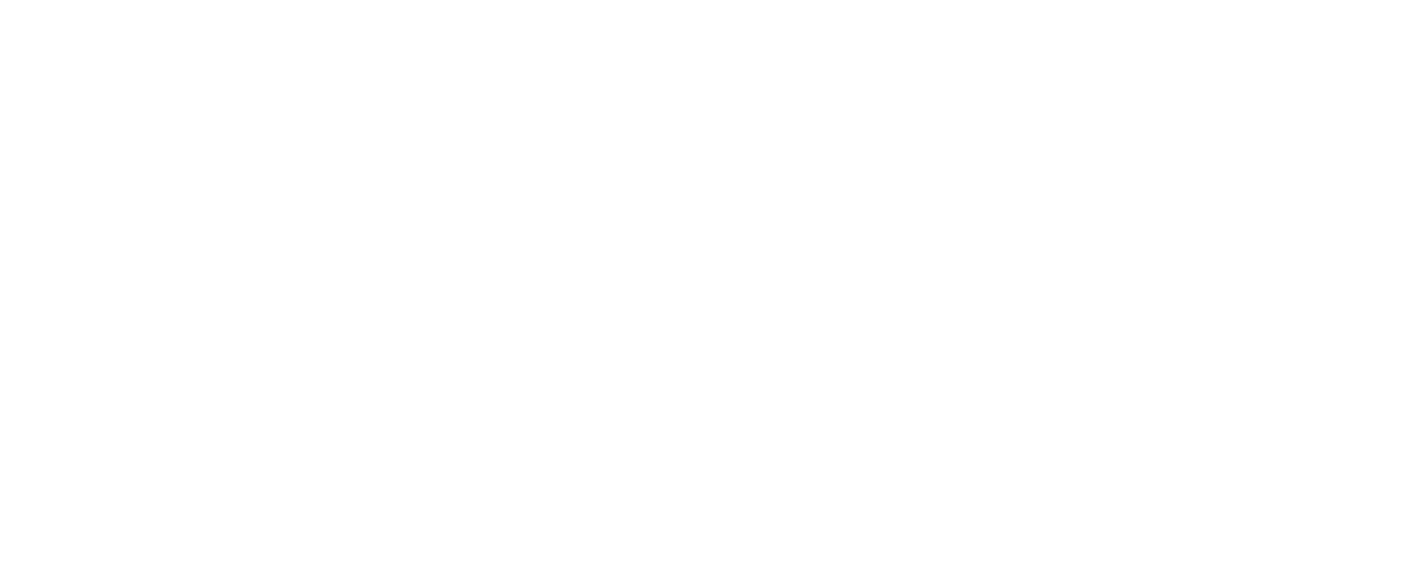 Florin Gireadă logo